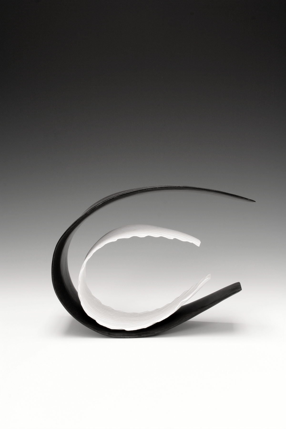 Titania Henderson, Untitled 12, 2004, porcelain and bone china.