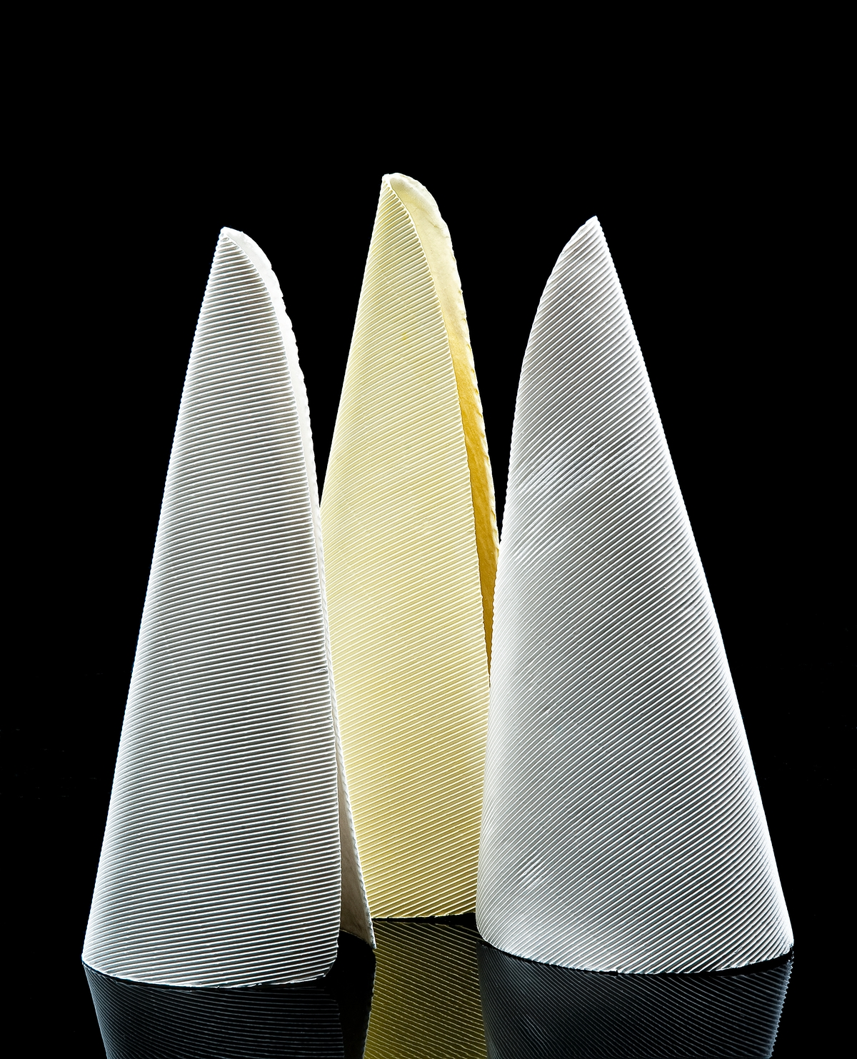 Titania Henderson, Connection, 2010, bone china, 36.0 x 12.0 x 16.0 cm variable.