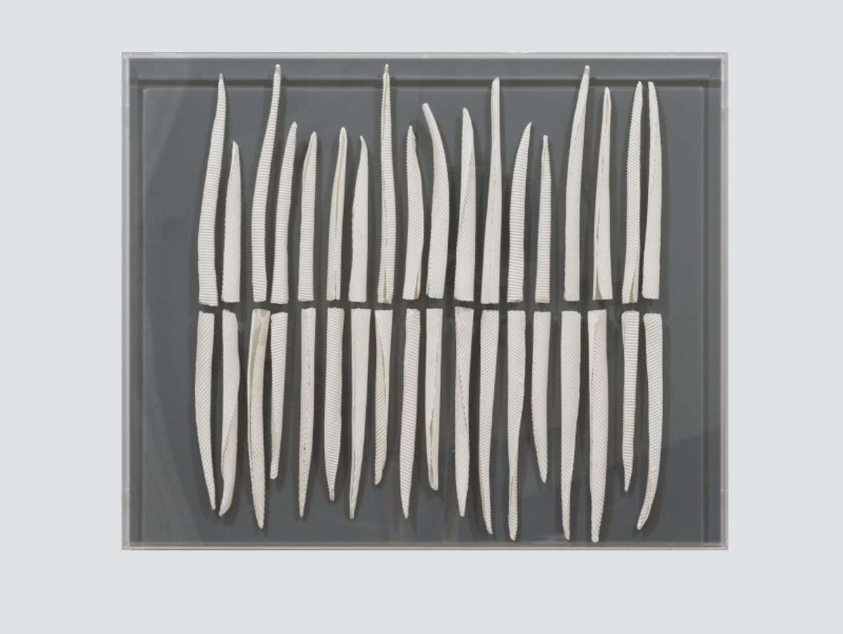 Titania Henderson, Sticks No. 5, 2014, bone china porcelain, perspex box, 45.5 x 55.0 x 5.0 cm.